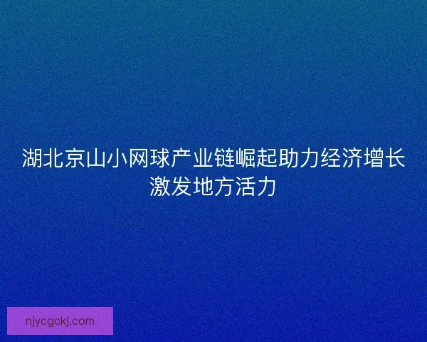 湖北京山小网球产业链崛起助力经济增长激发地方活力