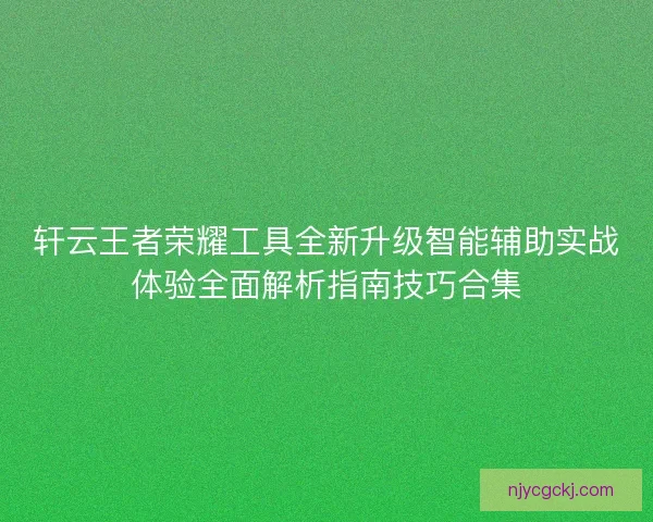 轩云王者荣耀工具全新升级智能辅助实战体验全面解析指南技巧合集