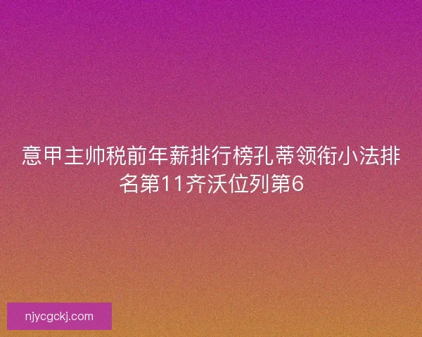 意甲主帅税前年薪排行榜孔蒂领衔小法排名第11齐沃位列第6