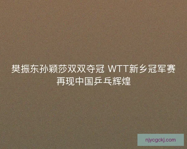 樊振东孙颖莎双双夺冠 WTT新乡冠军赛再现中国乒乓辉煌
