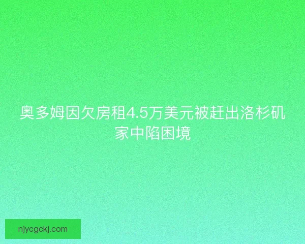 奥多姆因欠房租4.5万美元被赶出洛杉矶家中陷困境