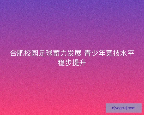 合肥校园足球蓄力发展 青少年竞技水平稳步提升